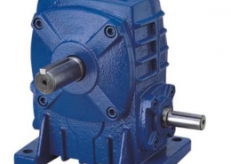 worm gear reducer